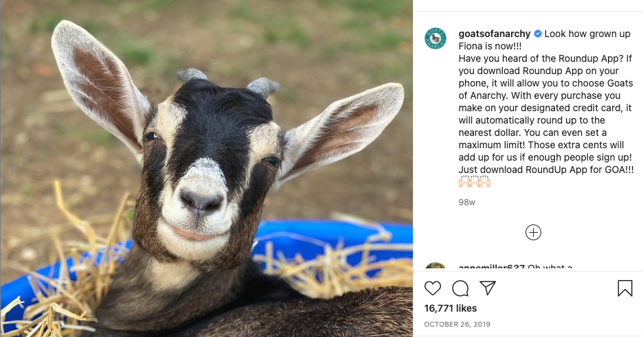 Goats of Anarchy Instagram Post